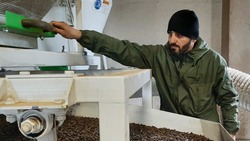 Биотопливо из древесных отходов производят на Ставрополье