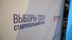 Избирком: 88% избирателей на Ставрополье поддержали Владимира Путина