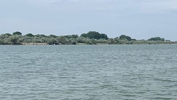 Два человека утонули в техническом водоёме Нефтекумска