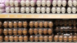 Дела на трёх ставропольских производителей куриных яиц возбудила антимонопольная служба