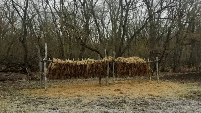 Более 3 тыс. подкормочных площадок для птиц и животных создали на Ставрополье