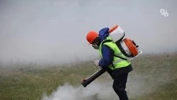 На 1,1 млн рублей оштрафовали жителей Дагестана за сжигание сухой травы