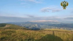 Прокуратура заставила охотхозяйство на Кавминводах построить вольер для зайцев