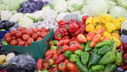 Продуктовые ярмарки пройдут в Ставрополе с 29 по 31 августа