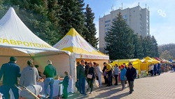 Продовольственные ярмарки вновь пройдут на выходных в Ставрополе