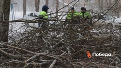 450 жителей Ставрополя получили матпомощь на восстановление домов после урагана