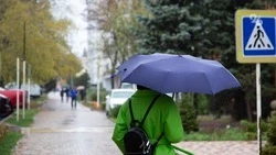 На Ставрополье к концу рабочей недели придут дожди и грозы