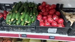Рост цен на огурцы связывают с тратами на освещение теплиц на Ставрополье