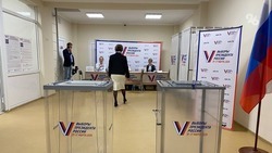 Директор ставропольского музея: Выборный процесс стал удобнее