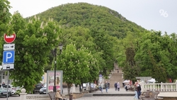 Фестиваль холодного оружия планируют провести в Железноводске