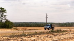 Аграрии Арзгирского округа собрали почти 165 тонн дыни