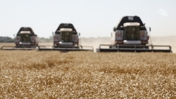 Ставропольская агрофирма и Валерий Гаевский упомянуты в файлах Эпштейна