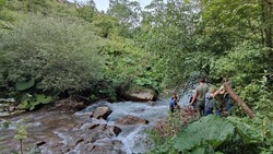 Русло реки в Кисловодске очистят благодаря акции «Вода России»
