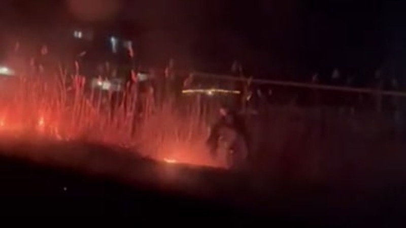 Таксист потушил горящие камыши в Минеральных Водах 