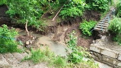 Мост рухнул в лесу на «Корытах» в Ставрополе