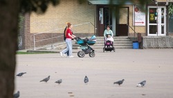 Дополнительные меры поддержки для многодетных семей установили на Ставрополье