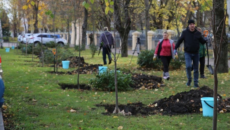Более 700 деревьев разных пород высадили в Ставрополе 