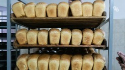  Ставропольские хлебопёки получат господдержку в размере 180 миллионов рублей 