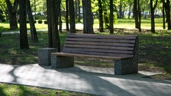 Пришкольную территорию благоустроят в селе Бурлацком по губернаторской программе