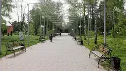В селе Дивном появится новый парк
