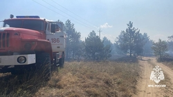 Прокуратура начала проверку по факту возгорания сухостоя в Петровском округе