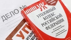 Ставропольчанку обвиняют в мошенничестве на 700 тыс. рублей