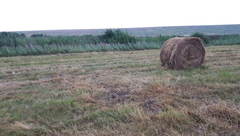 Свалку возле природного заказника ликвидировали на Ставрополье после предостережения Россельхознадзора