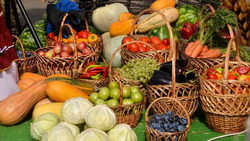 Экспорт пищевой продукции принёс Ставрополью почти 450 миллионов долларов