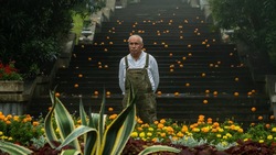 Для съёмок на Кавминводах дождя из апельсинов в фильме «Чебурашка» использовали 6 тонн фруктов