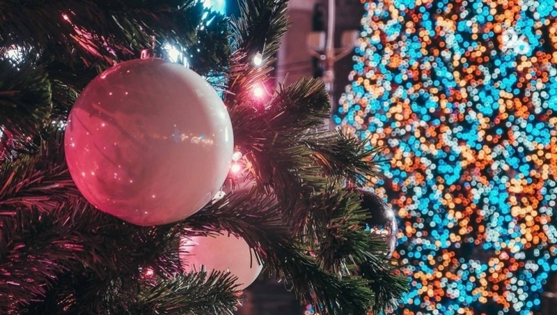 «Ёлка желаний» для детей участников СВО появится в каждом округе Ставрополья 