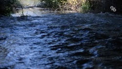 Уровень воды в Калаусе на Ставрополье снизился до отметки 8 метров