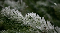 На Ставрополье ожидаются заморозки до -3 градусов 