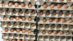 Глава минсельхоза Ставрополья: В крае не будет дефицита яиц