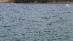 Причины гибели рыбы в городском озере выясняют в Ессентуках 