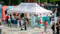 В Ставрополе в парке Победы 12 и 13 июня состоится ярмарка местных брендов