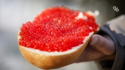 Российский юрист рассказал, почему к Новому году не стоит покупать дешёвую икру