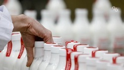 Около 30 предприятий по переработке молока действуют на Ставрополье 