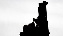 Жители Ставрополья участвовали в незаконном распространении оружия