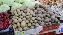 Праздничная сельскохозяйственная ярмарка пройдёт 12 июня в Ставрополе