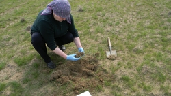 Около 900 тыс. га полей Ставрополья обследуют на наличие саранчи
