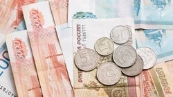 Более 180 семей Ставрополья получили остаток материнского капитала от СФР