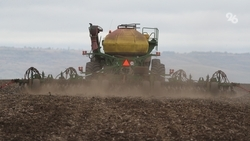 Весенний сев на Ставрополье проходит штатно 