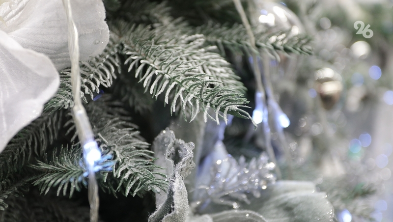 Дефицита новогодних ёлок в России нет — глава Рослесхоза