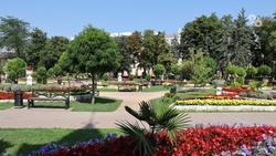 В трёх городах Ставрополья проводят бесплатные экскурсии к 80-летию Победы