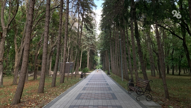 Скверы, парки и улицы Ессентуков обработают от клещей