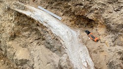 В Изобильненском округе нашли фрагмент бивня древнего слона