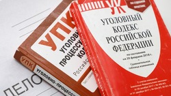 Бывшего преподавателя техникума из Будённовска обвиняют в 16 фактах мошенничества
