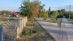 Директор Горзеленстроя на Ставрополье получила условный срок за мошенничество 