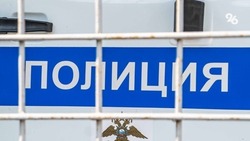 Жителя Новоселицкого округа подозревают в краже металлических ворот 