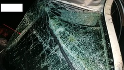 Плохое самочувствие водителя могло стать причиной смертельного ДТП на Ставрополье